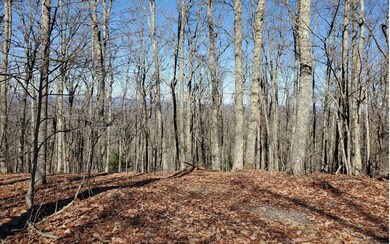 Additional View