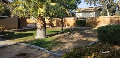 View of back yard