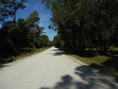 0 Palm Ave, Cocoa, FL 32922 - photo 5