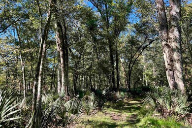 02 Manchac Rd, Saint Gabriel, LA 70776 - photo 5