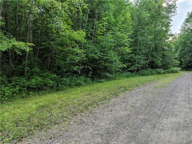 313 1 4 St, Rice Lake, WI 54868 - photo 7