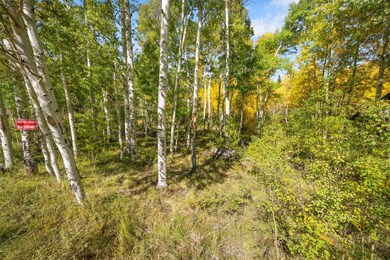 0045 Cr 1232, Silverthorne, CO 80498 - photo 5