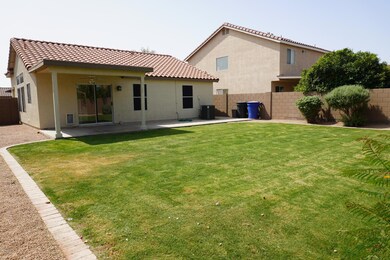 Backyard 6