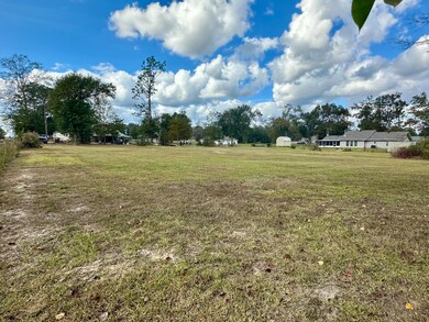 0 Cedar St, Ragley, LA 70657 - photo 3