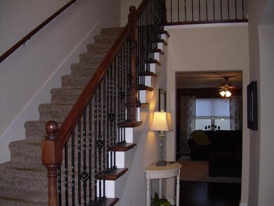 View from Front Door.