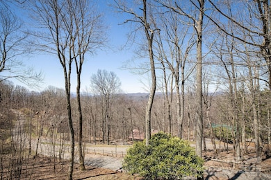 170 Lucas Ln, Mars Hill, NC 28754 - photo 7