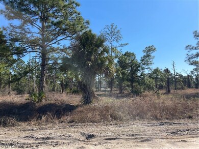 1141 Haven Ave S, Lehigh Acres, FL 33974 - photo 2