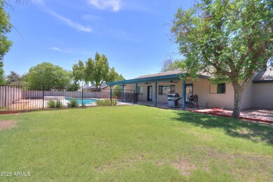 grassy yard