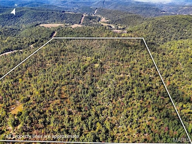 View of property location with property parcel outlined and a forest