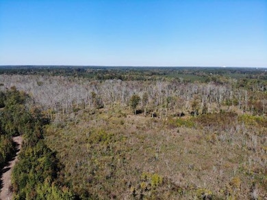 Tbd Broxton Bridge Rd, Bamberg, SC 29003 - photo 2