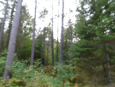 Lot 26 McCarthy Lake Rd, Tomahawk, WI 54487 - photo 6