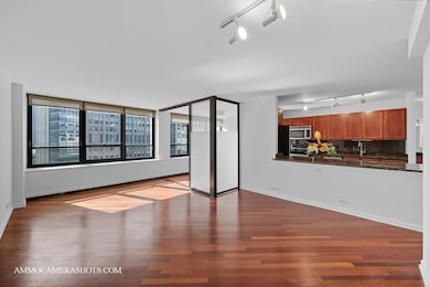 Pearson on the Park Condos unit 1406, Chicago, IL 60611 - photo 7