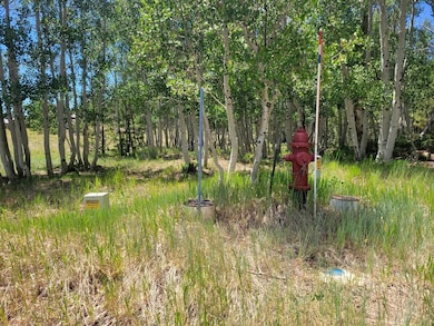 4175 Sundance Kid Ln, Duck Creek Village, UT 84762 - photo 5