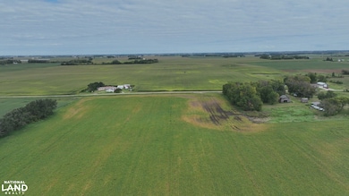 0 SW Corner 330th St 830th Ave, Ellendale, MN 56026 - photo 3