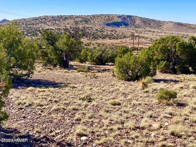 TBD Co Rd 5062 Lot 1 3 53 Acres --, Concho, AZ 85924 - photo 5