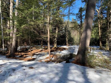 5 Roberts Rd, Brookfield, NH 03872 - photo 6