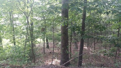 Lot 4 Hunters Glenn Ln, Ruth B Rural Township, MO 65686 - photo 4