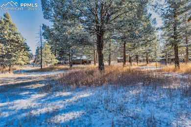 515 N Park St, Woodland Park, CO 80863 - photo 6