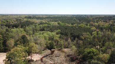 000 U S 79, Pine Bluff, AR 71603 - photo 5
