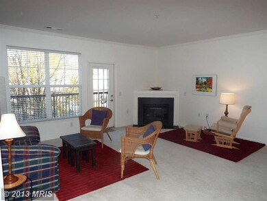 815 Branch Dr unit 208, Herndon, VA 20170 - photo 5