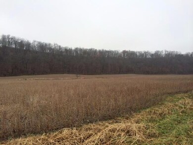 363 Holt Ln, Frankfort, KY 40601 - photo 5