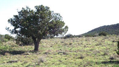 11139 Howard Mesa Loop, Williams, AZ 86046 - photo 5