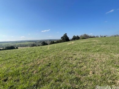 Tract 3 Dot's Cove, Quitman, AR 72131 - photo 3