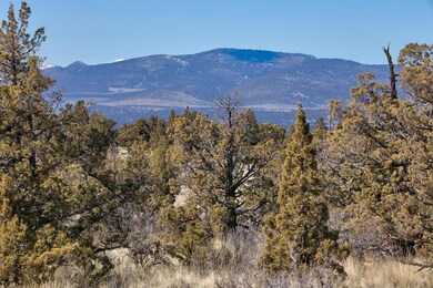 04 Longhorn Ridge Ln._Lot 69_006