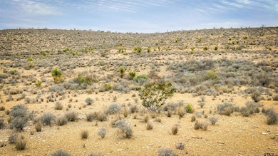 4500, Terlingua, TX 79852 - photo 5