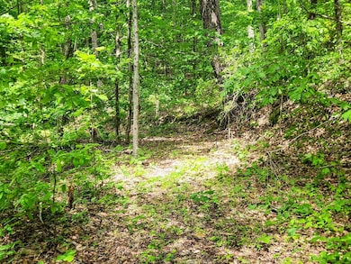 0 Buffalo Rd unit 23634322, Oneida, TN 37841 - photo 7