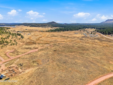 Lot 25 the Ranch at Alpine unit 25, Alpine, AZ 85920 - photo 4