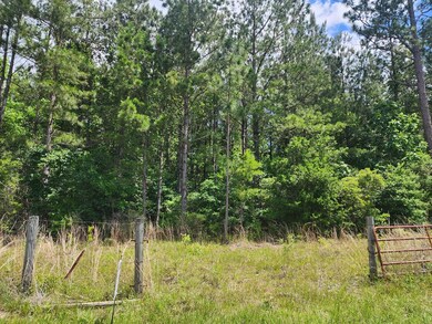 NHN Spring Hill Rd, Poplarville, MS 39470 - photo 4