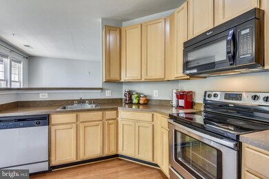 42421 Rockrose Square unit 203, Ashburn, VA 20148 - photo 3
