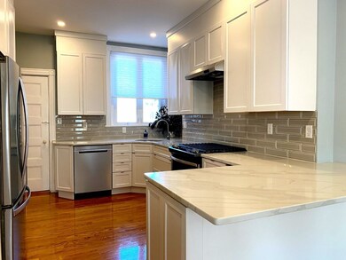 51 Gorham Ave unit 2, Brookline, MA 02445 - photo 6