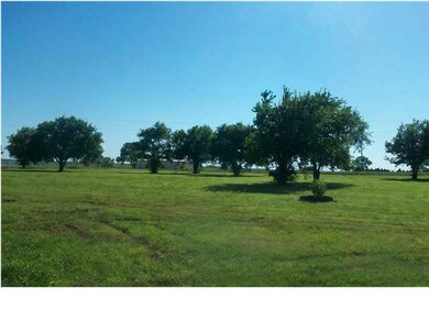 Trees in front yard