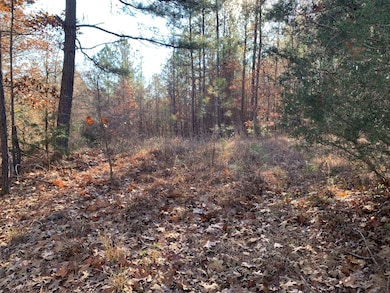 11 Warren Floyd Rd, Selmer, TN 38375 - photo 2