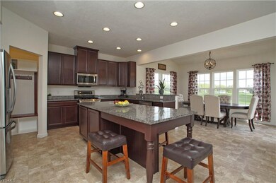 625 U s Grant St, La Grange, OH 44050 - photo 3