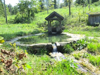 mammoth spring arkansas2