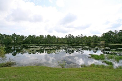 2319 White Sands Dr, Jacksonville, FL 32216 - photo 4