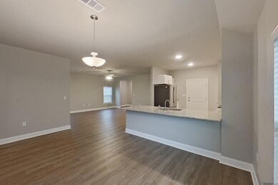 22832 Monterey Ave, Dennis Mills, LA 70726 - photo 6