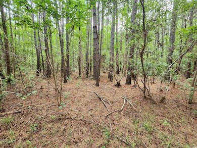 View of wooded area