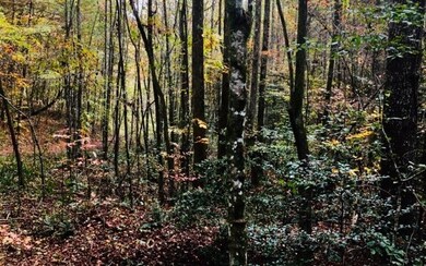 LT 6 Pleasant Oak Trail, Ellijay, GA 30540 - photo 3