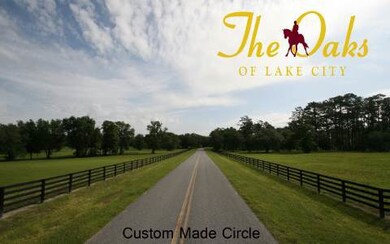 LOT30 Mandiba Dr, Lake City, FL 32024 - photo 3