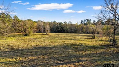 1448 County Road 3310, Jacksonville, TX 75766 - photo 7