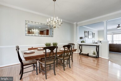 25395 Elm Terrace, Aldie, VA 20105 - photo 4