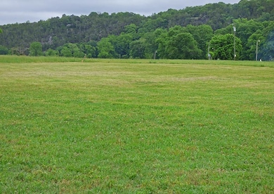 0 Griffin Rd unit 24016800, Hardy, AR 72542 - photo 3