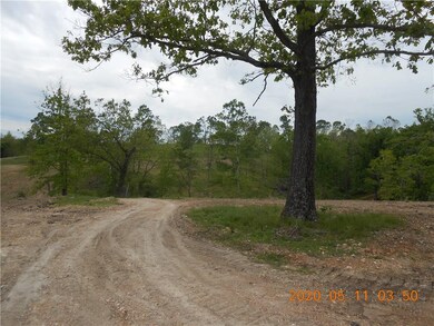 14170 Springtown Rd, Siloam Springs, AR 72761 - photo 3