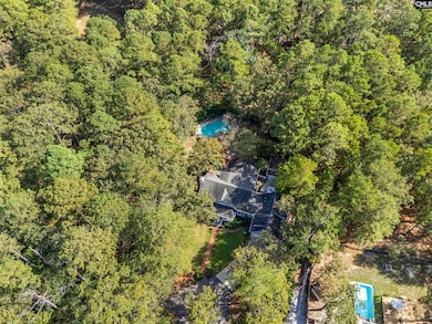 161 Dutchman Shores Cir, Chapin, SC 29036 - photo 6