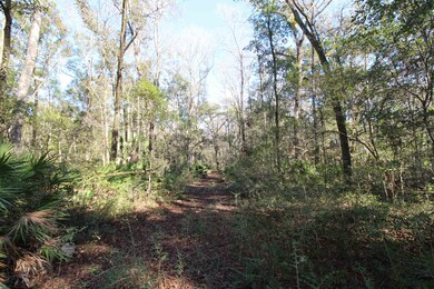 xx Keerns Dr, Crawfordville, FL 32327 - photo 3