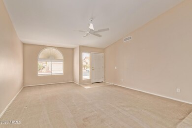 07 Palm Beach 1742